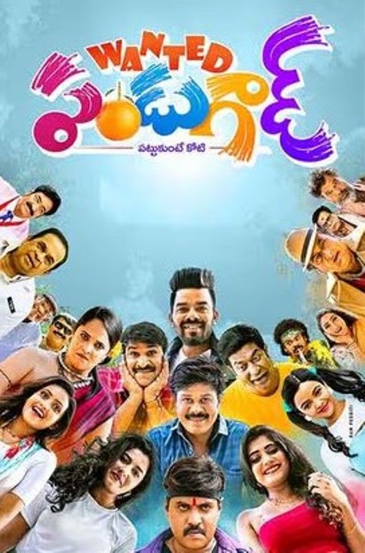 Poster of the film 'Wanted PanduGod'